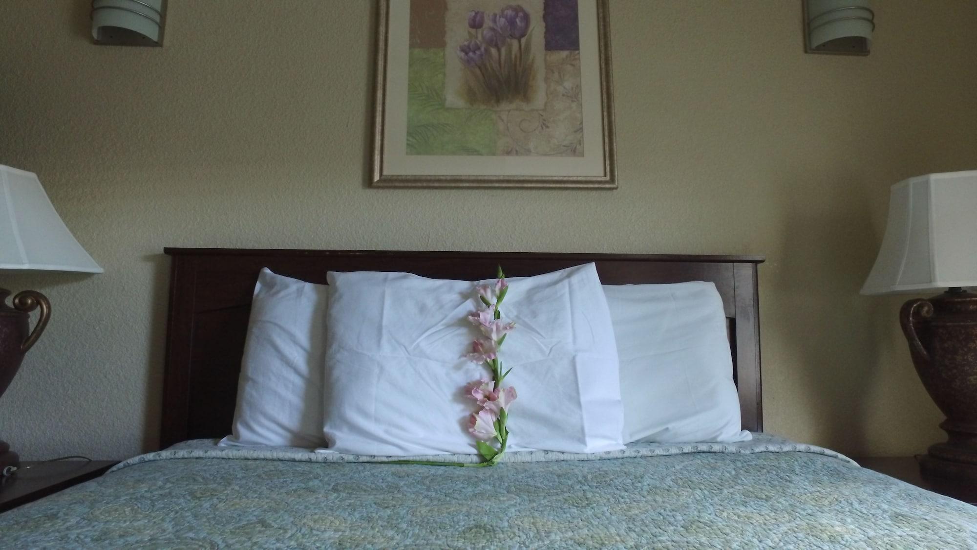 Athens Hotel & Suites Houston Extérieur photo