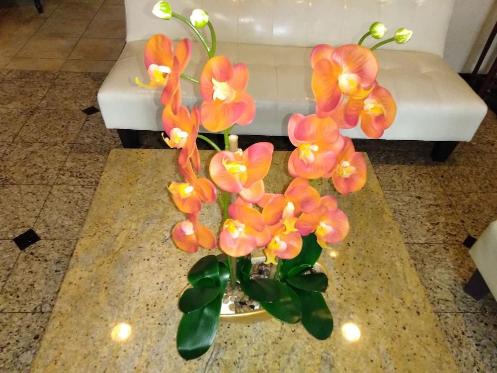 Athens Hotel & Suites Houston Extérieur photo